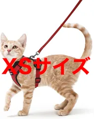 【Rabbitgoo】猫用 ハーネス リードセット 犬猫兼用 超小型犬 小型犬 抜けない ソフト胸あて 軽量 足を上げず装着完成 サイズ調節可 夜反射 通気メッシュ 咳込み防止 散歩 犬用ハーネス 猫の胴輪 （レッド XSサイズ）