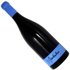 Gantenbain 2021 Pinot Noir 2本セット - メルカリ