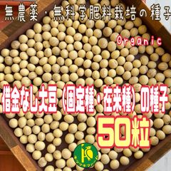 2025年津久井在来大豆】1000g 神奈川産12月収穫 味噌 豆乳 大豆料理