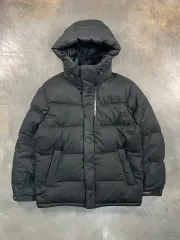 THE NORTH FACE ザノースフェイス ゴー Free! ダウン
