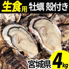 今季終了間近 〈日本最高峰ブランド〉合馬産たけのこ 掘りたて 4kg
