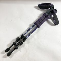 Item thumbnail for item 9a22dd79-6100-4ee3-92e0-e71b5eb0b420