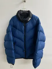 THE NORTH FACE ザノースフェイス 90s ascent ブルー(XL)