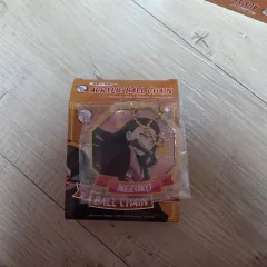 鬼滅の刃 禰豆子