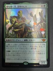 MTG 沸騰する小湖 日本語 foil 旧枠 MH2 モダンホライゾン2 - メルカリ