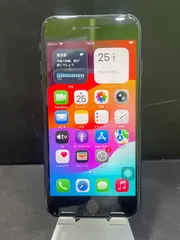 3/30-31限定価格iPhoneSE(第2世代) 128GB ブラック SIMフリー 動作確認済み IMEI：356489101269251