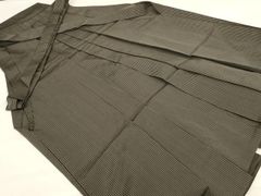 Item thumbnail for item 66f6ef30-f771-4c7a-b6d1-c38202a531bc