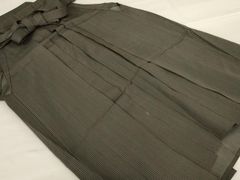 Item thumbnail for item a50376e9-7032-4f8b-9298-af302b9397c1