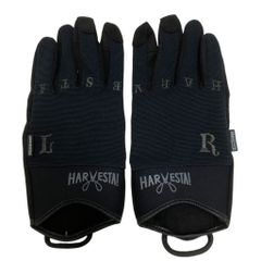 Item thumbnail for item c1e16a38-4dbb-4c3f-8f8e-45349294f9cf