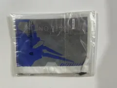 エヴァンゲリオン 一番くじ G賞