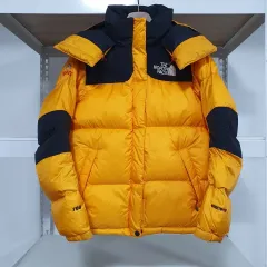 (85) THE NORTH FACE ザノースフェイス サミットシリーズ 700 ウィンドストッパー グースダウン ダウン