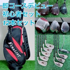 三浦技研製造 プロギア データ・PRGR DATA801 FORGED9本セット - メルカリ