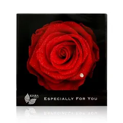 【新品】 IPFA プリザーブドフラワー エスペシャリーボックス(1月ガーネット/レッド)誕生日 プレゼント ギフト 誕生石 花 バラ 薔薇 一輪花 結婚祝い 退職祝い 女性