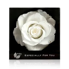 【新品】 IPFA プリザーブドフラワー エスペシャリーボックス(4月ダイアモンド/ホワイト)誕生日 プレゼント ギフト 誕生石 花 バラ 薔薇 一輪花 結婚祝い 退職祝い 女性