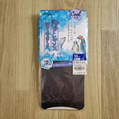 日本輸入 アツギ ATSUGI クール 接触冷感 10レギンス L LL 20デニール