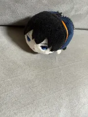 影山 もちマス (送料込み 1 0 羊)