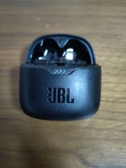 JBL TUNE FLEX Ghost Edition イヤホンケース　ブラック　充電器