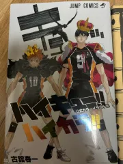 (日本版)ハイキュー ジャンプ コミックス カラーイラスト集 キャラクターブック 全3巻