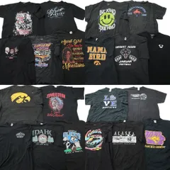 古着卸 まとめ売り 黒ボディ 半袖Tシャツ 20枚セット (メンズ 2XL /3XL /4XL ) レーシング ワンポイント カレッジ 人物 中古 古着 NE0074