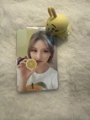 秋 2023シーグリ Starship Square スタシ