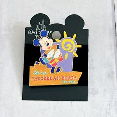 Disney ドナルドダック ピンバッジ 2個セット - メルカリ