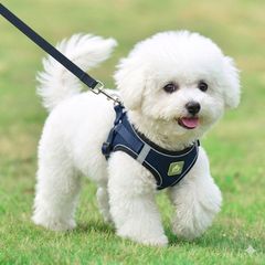 Item thumbnail for item fb56329c-5d18-48ea-ae7f-3ec48ea2cc17