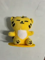 SEVENTEEN ホシ ミニ틴 タムタム