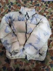 THE NORTH FACE ザノースフェイス センターロゴ Nuptse(ヌプシ) カモフラ 日本版
