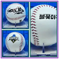 炎Fighters 選手 성 권 様 サイン入りボール