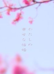 わたしの幸せな結婚 DVD豪華版(特典DVD2枚3枚組)【初回生産限定版】 [DVD] 目黒蓮,今田美桜,塚原あゆ子(中古)