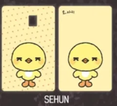 EXO（エクソ） セフン(SEHUN) オ・アリ カード カバーステッカー カードステッカー