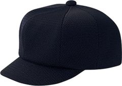 Item thumbnail for item 9c2d87fb-da1d-4c1d-95cd-1687a69b54a6