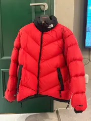THE NORTH FACE ザノースフェイス ascent Lサイズ