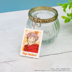 呪術廻戦 ぱしゃこれ ミニ アークス アクリル キーホルダー 虎杖 悠仁