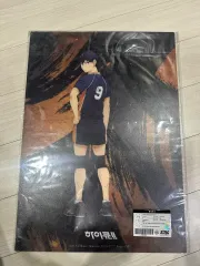 未開封) ハイキュー 影山＆日向 PP ポスター