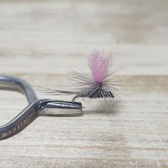 Item thumbnail for item f6a4381b-0565-42c6-a95b-788a63ca9b5c