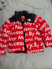 15FW Supreme THE NORTH FACE ザノースフェイス レタリング Nuptse(ヌプシ) ブラック L