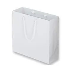 (まとめ) TANOSEE マットコート手提げ袋 M ヨコ320×タテ300×マチ幅110mm ホワイト 1パック（10枚） 〔×5セット〕