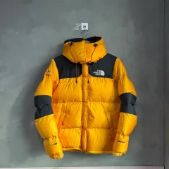THE NORTH FACE ザノースフェイス 700 サミット ウィンドストッパー グースダウン ダウン