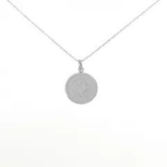 PT850(枠) コイン ネックレス