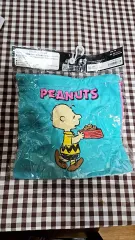 PEANUTS 正規品 キャラクター ポーチ / SNOOPY & チャーリー ブラウン / 日本