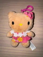ハワイ HAWA IN hello kitty(ハローキティ) ぬいぐるみ