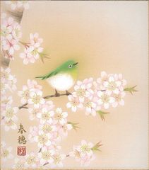 春のアート ウグイスと桜 20㎝角 - メルカリ