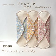 Item thumbnail for item 579b652b-cdd3-4596-8271-d7583520d001