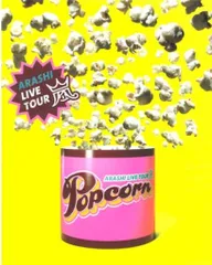 嵐 12-13年 Popcorn パンフレット