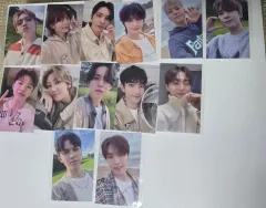 SEVENTEEN(セブンティーン・セブチ) 福岡 ユニバーサル 消費期限 13枚セット