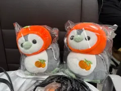 チェジュみかん ウール 帽子 ペンギン ぬいぐるみ 2点 新品