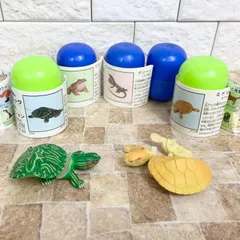 チョコエッグ【未組立】爬虫類・両生類 5種セット ミドリガメ（アルビノ含）他 希少 当時もの