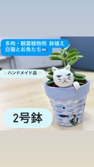 흰 고양이 리메이크 그릇 핸드메이드 2호 그릇 다육 식물용 고양이 모티브 관엽 식물