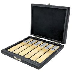 Item thumbnail for item 5ccda69a-00ce-401a-b1b9-4fbba29a4a4a